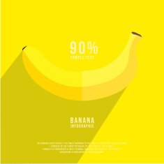 fruits vector illustration banana infographics