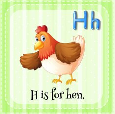 Letter H N24
