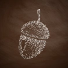 Acorn Icon N4