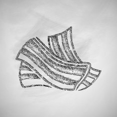 bacon icon N2