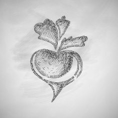 beet icon N2