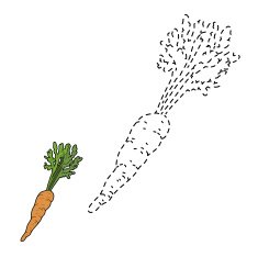 Connect the dots (carrot) N2
