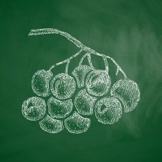berries icon N2
