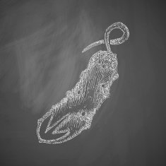 cucumber icon N2