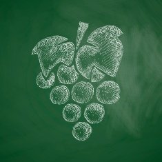 Grapes Icon N4