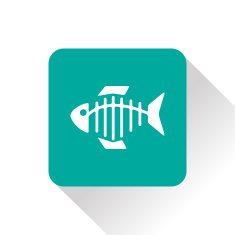 Vector icon of fishbone N12