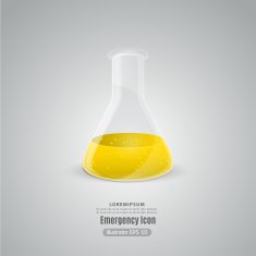 Chemistry Flask icon vector