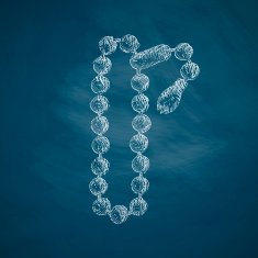 rosary icon N2