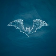 bat icon N6