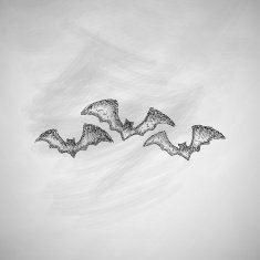 bat icon N7