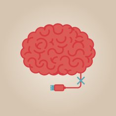 Brain Illustration N13