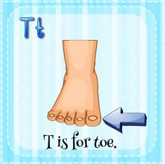 Toe Nail N2