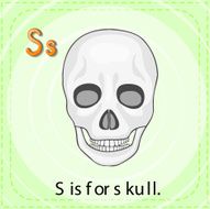 letter s N49