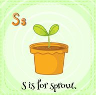 Sprout N4