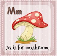 Mushroom N7