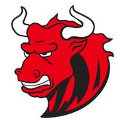 Angry wild bull in cartoon design for mascot