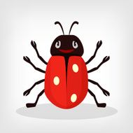 Vector ladybug flat illustration