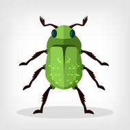 Vector beetle flat illustration