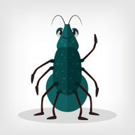 Vector beetle flat illustration N2