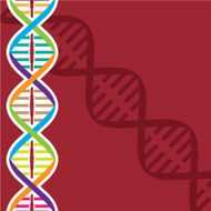 DNA Vector N2