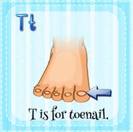 Toenail
