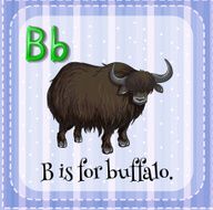 Buffalo N4