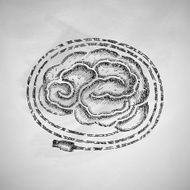 Brain Icon N11
