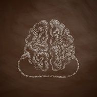 Brain Icon N13