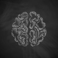 Brain Icon N14