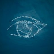 Eye Icon N9