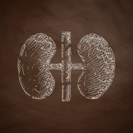 kidneys icon N5