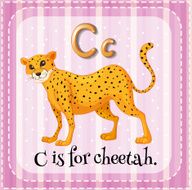 Cheetah