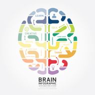 infographics vector brain design diagram line style template