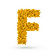 3d yellow leaves alphabet F