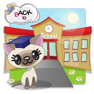 Cat and school N2