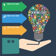 Light bulb with Knowledge infographics vector format