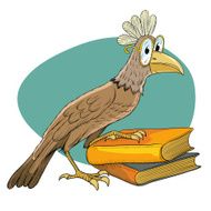 Bird guide
