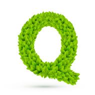 3d green leaves alphabet Q