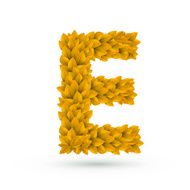 3d yellow leaves alphabet E