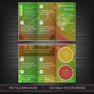 Business tri-fold flyer template brochure or cover design