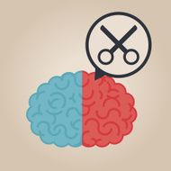 Brain Illustration N43