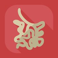 Flat modern design with shadow icons small intestine