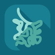 Flat modern design with shadow icons small intestine N2
