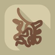 Flat modern design with shadow icons small intestine N3