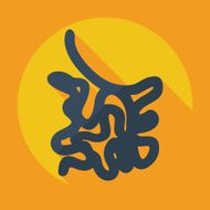 Flat modern design with shadow icons small intestine N4