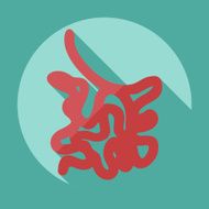 Flat modern design with shadow icons small intestine N5