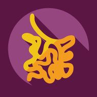 Flat modern design with shadow icons small intestine N7
