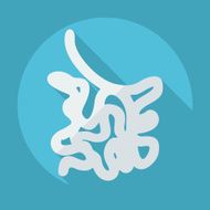 Flat modern design with shadow icons small intestine N8
