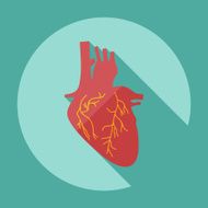 Flat modern design with shadow icons heart N6