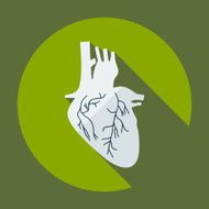Flat modern design with shadow icons heart N7